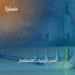 استراتيجيات الاستثمار